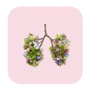 Breathwork Basics