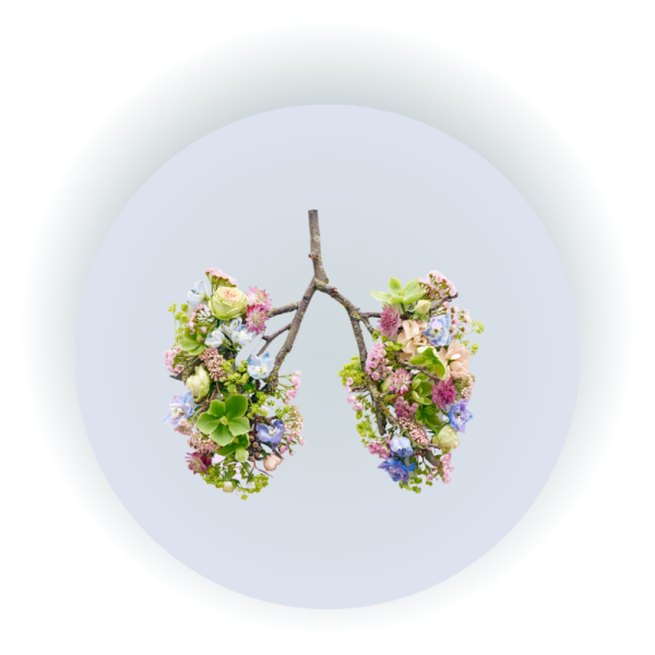 Twello Workplace Wellness Classes – Breathwork Basics Twello Workplace Wellness Classes - Breathwork Basics