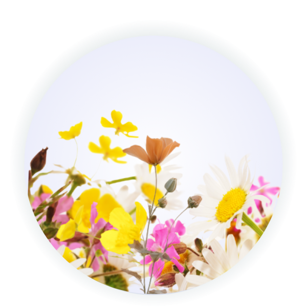 Twello Workplace Wellness Classes - Mindfulness & Nature
