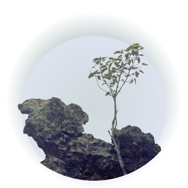 Twello Workplace Wellness Classes - Resilience Training